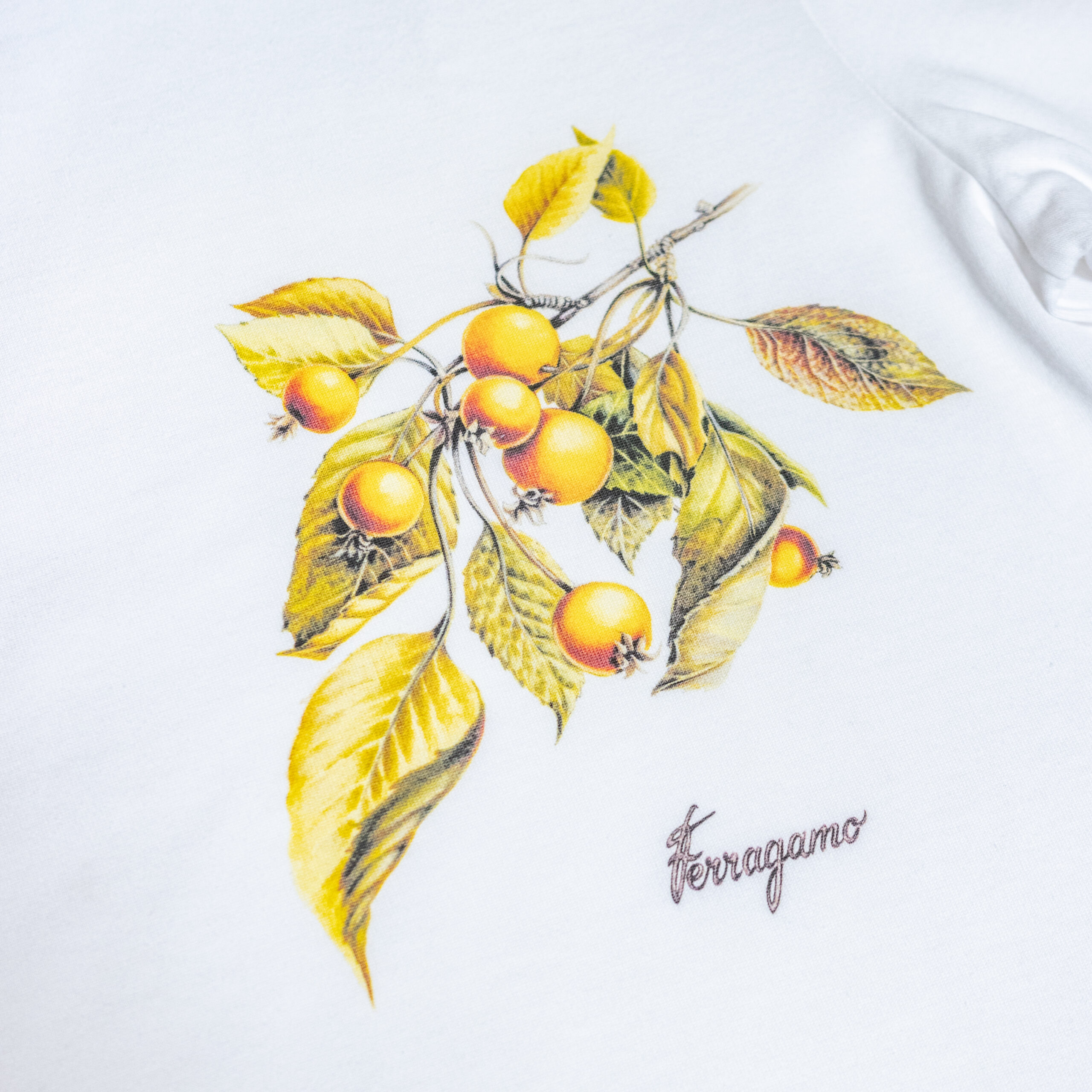 Playera Ferragamo "Botanical Sketch" Premium Tee - Imagen 2